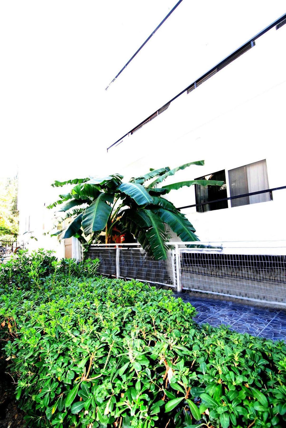 Aegeon Hotel - Adults Only Κως Πόλη Εξωτερικό φωτογραφία